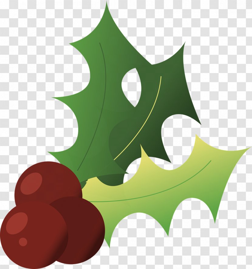 Clip Art - Holly - Graf Transparent PNG