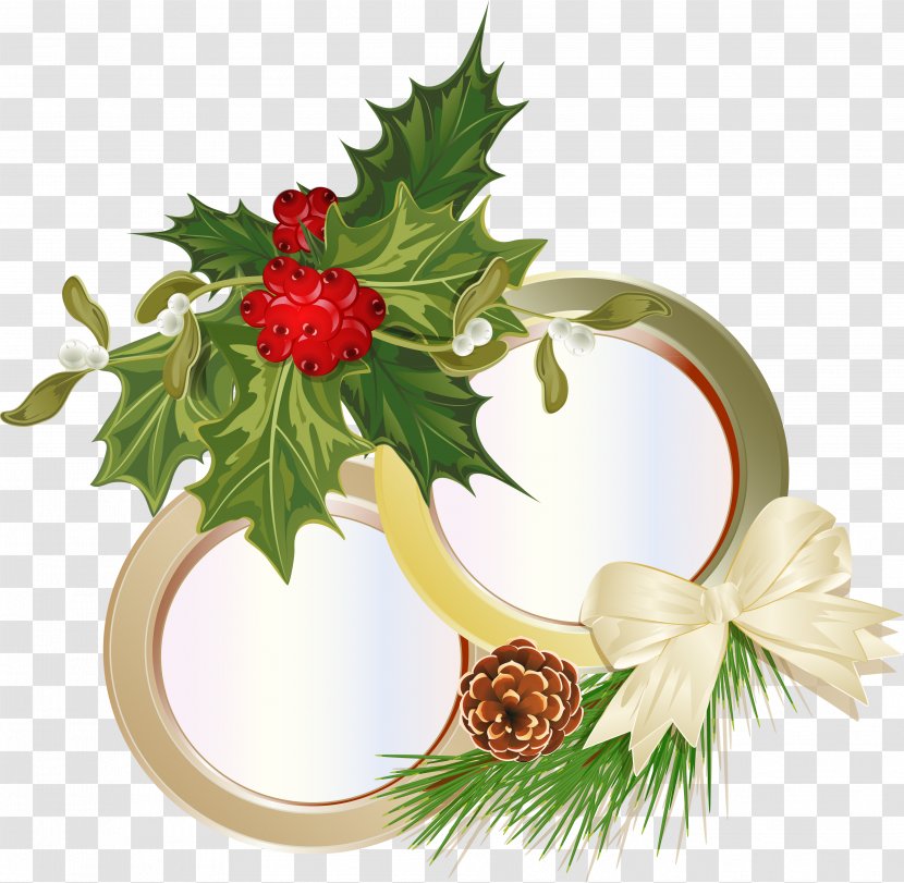 Bowknot - Flowering Plant - Christmas Decoration Transparent PNG