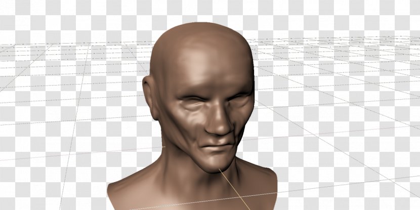 Forehead Jaw Ear - Head Transparent PNG