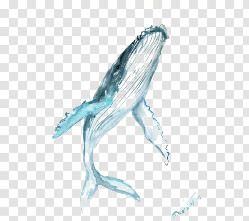 Humpback Whale Drawing Watercolor Painting Clip Art - Dolphin - Blue Transparent PNG