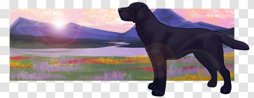 Labrador Retriever Flat-coated Dog Breed Puppy - Group Transparent PNG