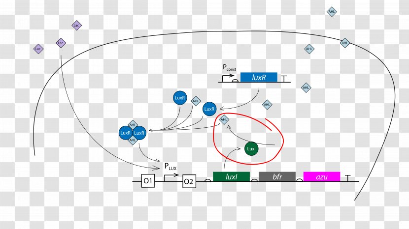 Graphic Design Brand Diagram Circle - Text - Space Environment Transparent PNG