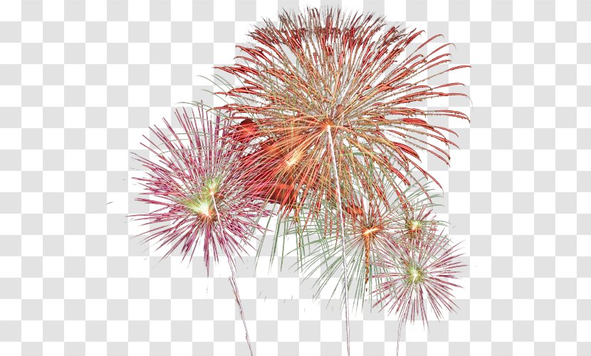 Fireworks Sky Plc Transparent PNG