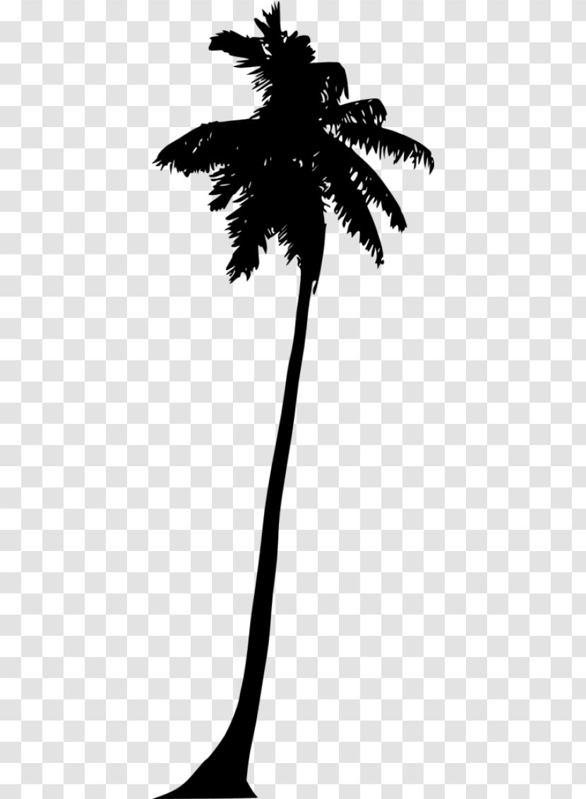 Asian Palmyra Palm Silhouette Clip Art Image - Photography - Tree File Transparent PNG