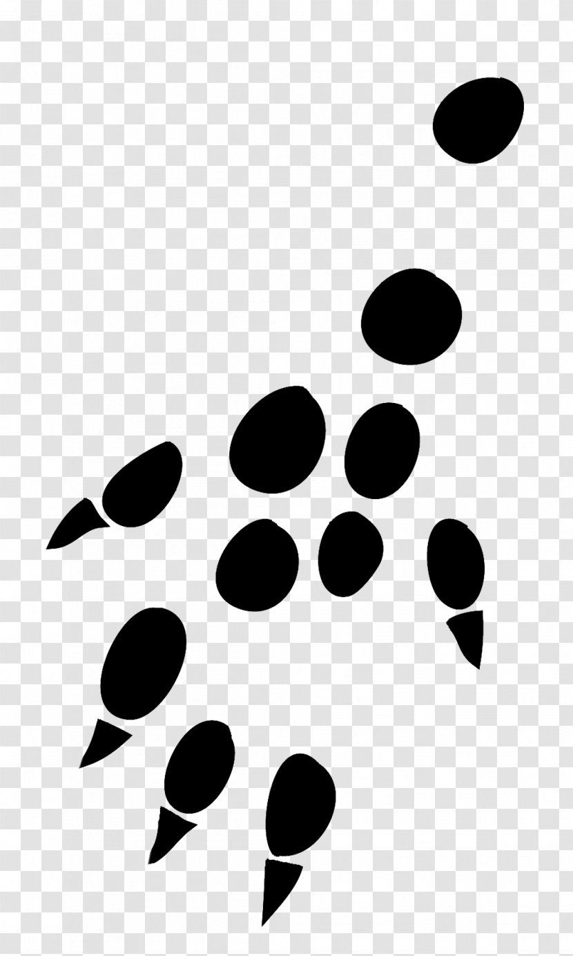 Hedgehog Paw Mouse Malinois Dog Rat - Black - Footprint Transparent PNG