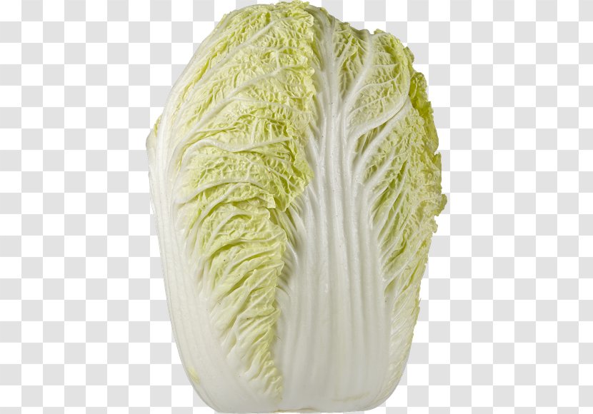 Savoy Cabbage Leaf Vegetable Brassica Oleracea Transparent PNG