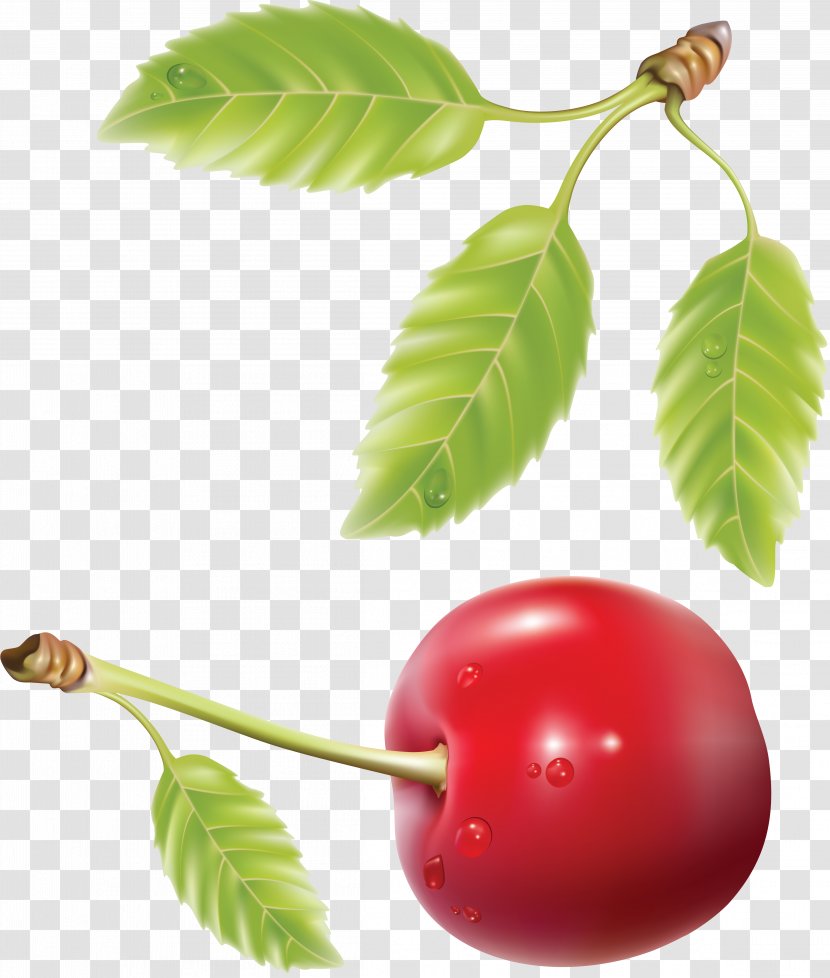 Cherry Fruit Royalty-free Transparent PNG