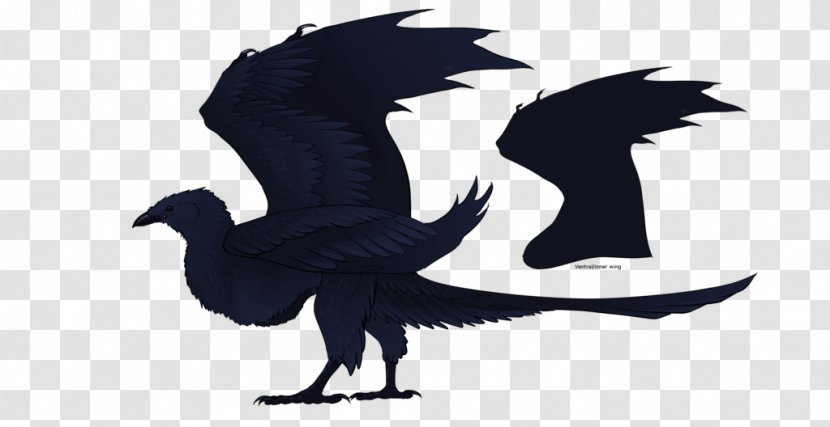 Dragon - Fictional Character - Beak Transparent PNG