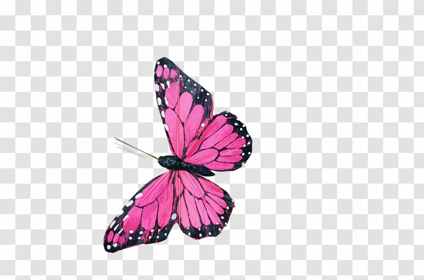 Watercolor Butterfly Background - Insect - Magenta Plant Transparent PNG