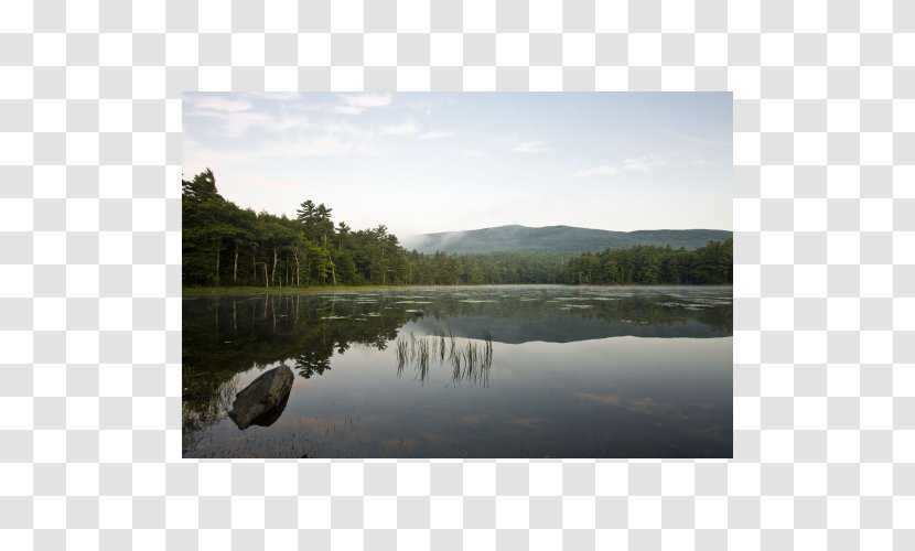 Mount Monadnock State Park New Hampshire Division Of Parks And Recreation Nature Reserve - Inlet Transparent PNG