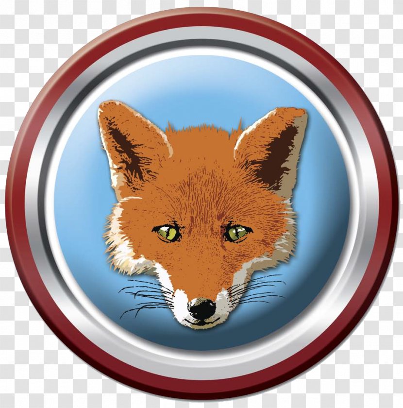 Red Fox Snout News - Primary School Transparent PNG