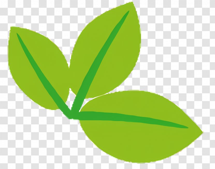 Green Leaf Logo - Flower Transparent PNG