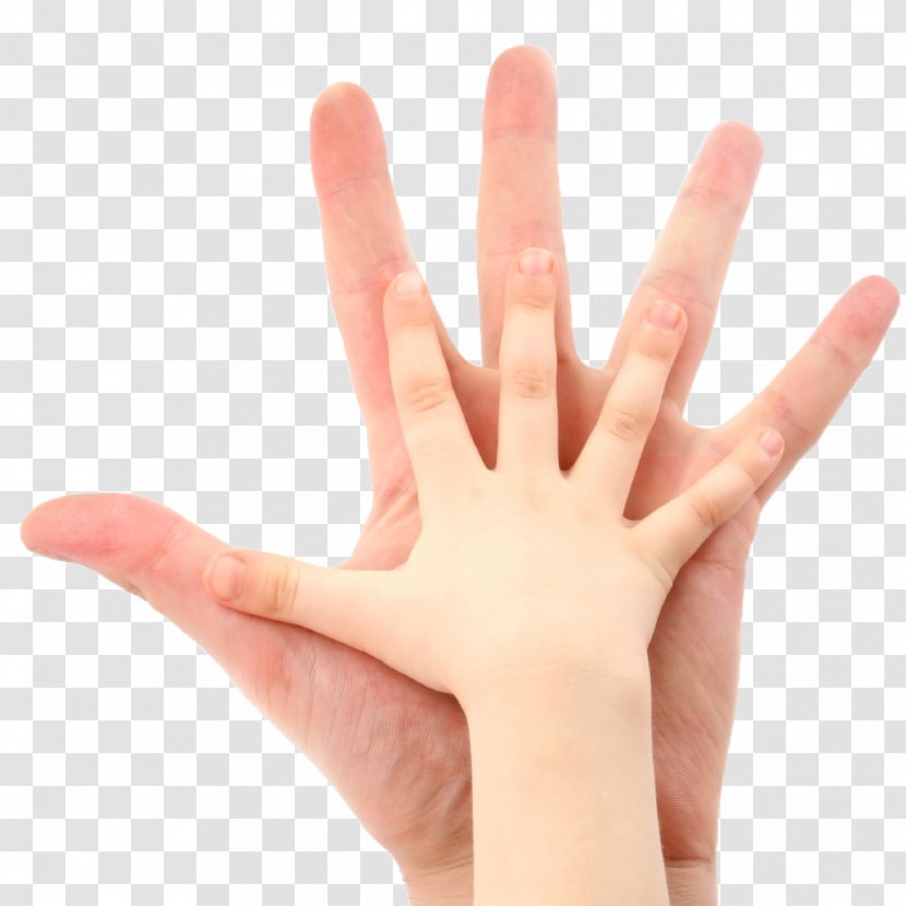 Finger Hand Model Nail Thumb - Parents Transparent PNG