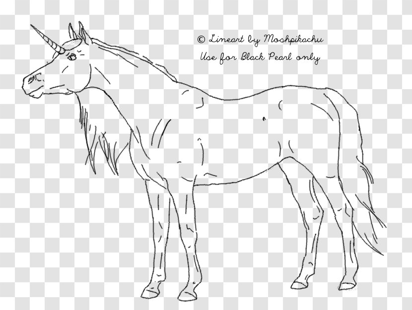 Horse Drawing Line Art Wiring Diagram - Black And White - Unicorn Transparent PNG