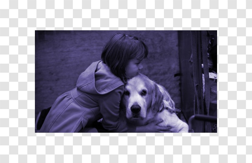 German Shepherd Pet Hug Man's Best Friend Animal Euthanasia - Retriever - Kim Jong-un Transparent PNG