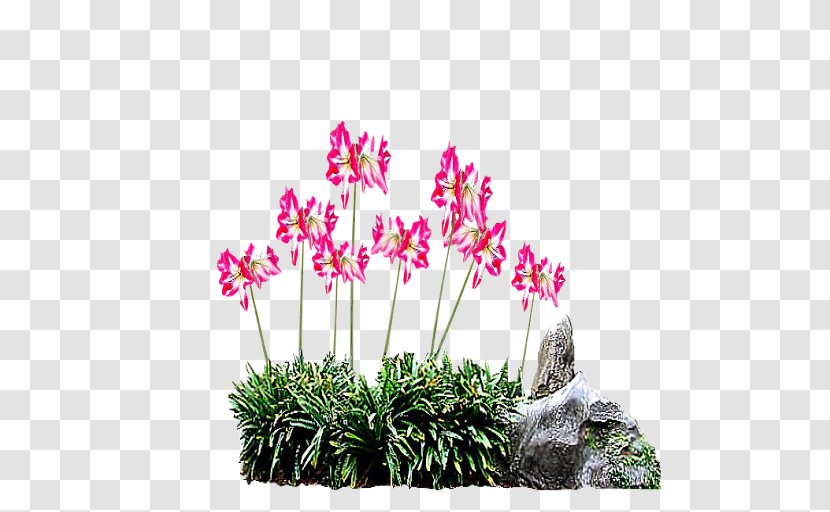 DeviantArt Cut Flowers Drawing Floral Design - Herbaceous Plant - Rockery Transparent PNG