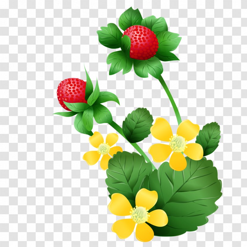 Strawberry Pie Mock Clip Art - Flower - Cartoon Flowers Transparent PNG