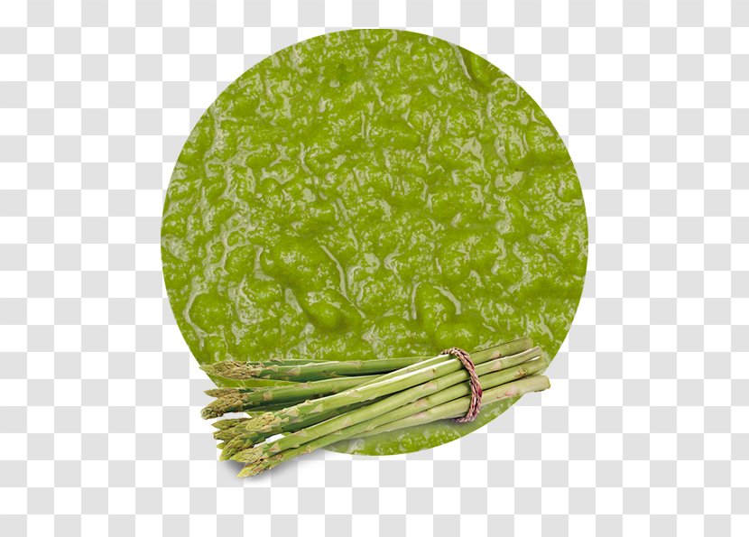 Leaf Vegetable Purée Asparagus Manufacturing - Price Transparent PNG