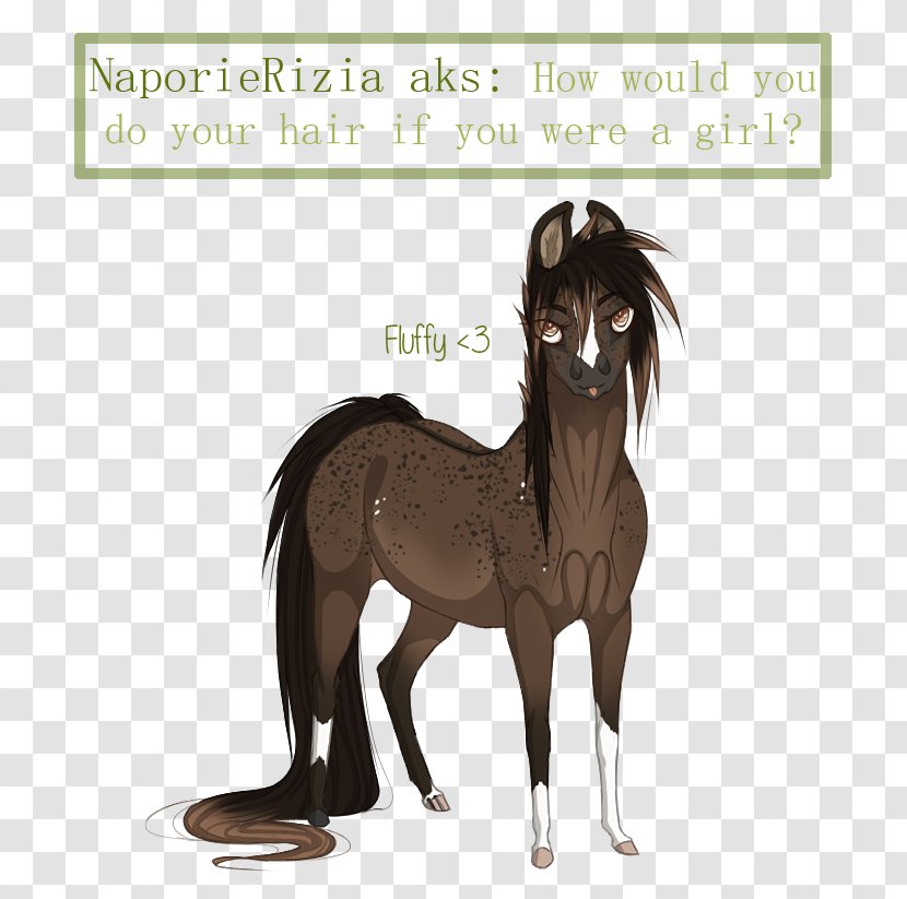 Mane Mustang Foal Stallion Colt - Gender Bender Transparent PNG