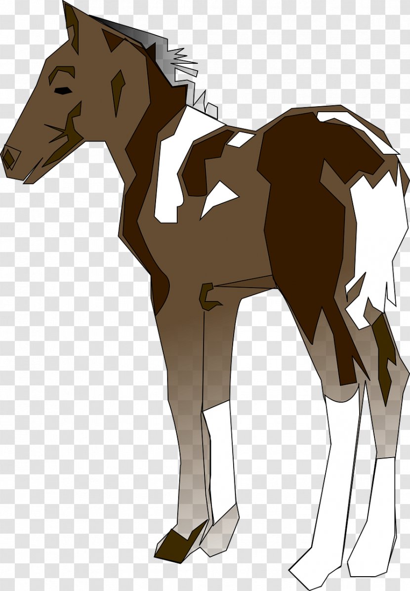Pony Horse Foal Clip Art - Supplies - Robust Mustang Transparent PNG