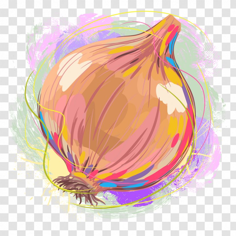 Vegetable Onion Food Illustration - Cartoon Transparent PNG