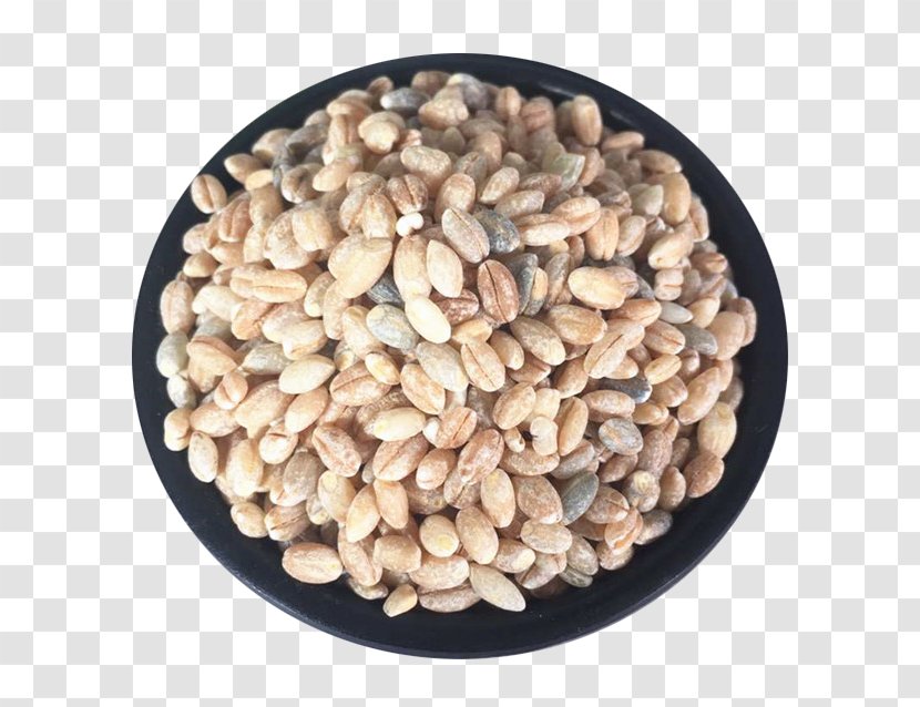 Tibetan Cuisine Tsampa Highland Barley Cereal - Grains Transparent PNG