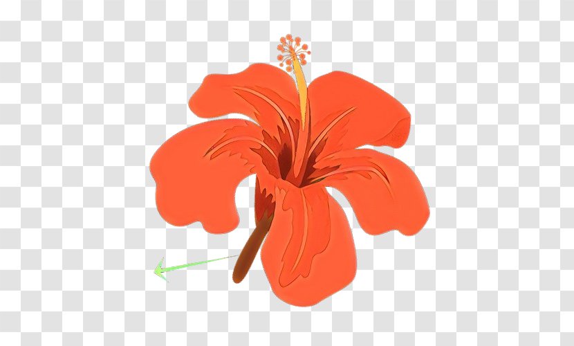 Orange - Hawaiian Hibiscus - Petal Transparent PNG