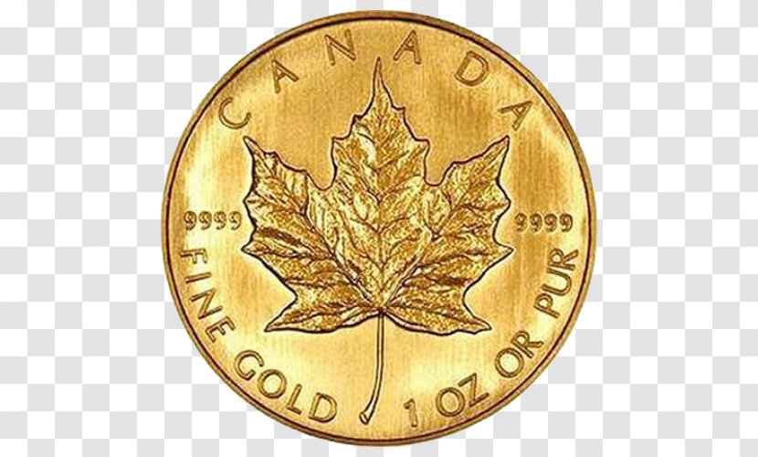 Canadian Gold Maple Leaf Bullion Coin Transparent PNG