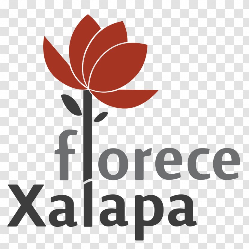 Ayuntamiento De Xalapa Logo H. Dif Almacen El Municipio - La Ciudad Transparent PNG