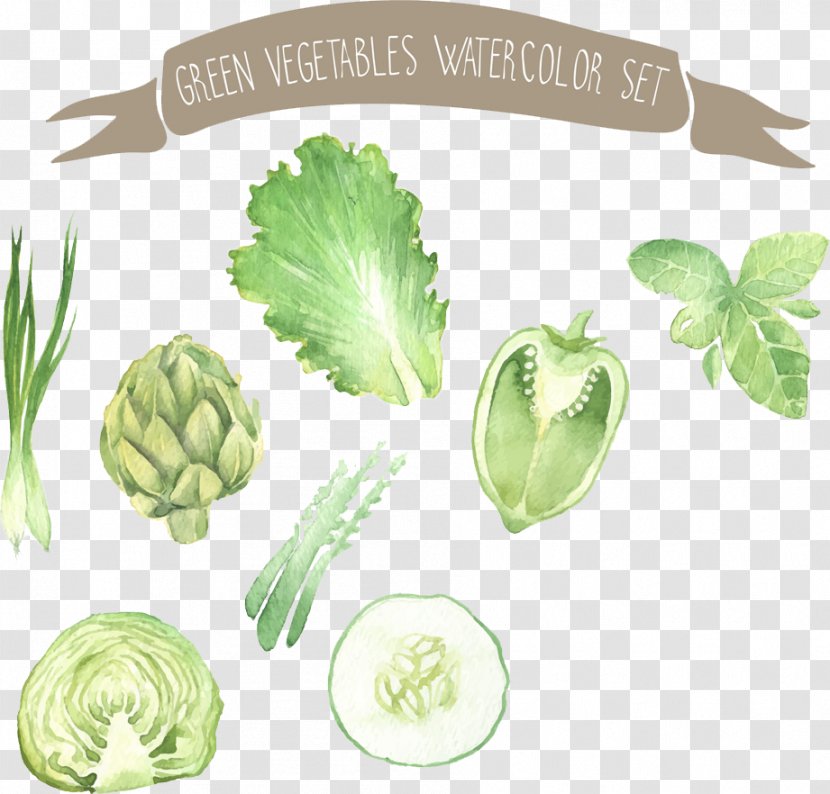 Watercolor Painting Vegetable Drawing Illustration - Food - Vegetables Transparent PNG