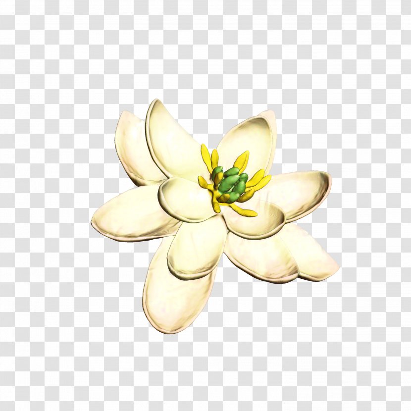 Brooch Petal Body Jewellery Cut Flowers - Flowering Plant - Frangipani Transparent PNG