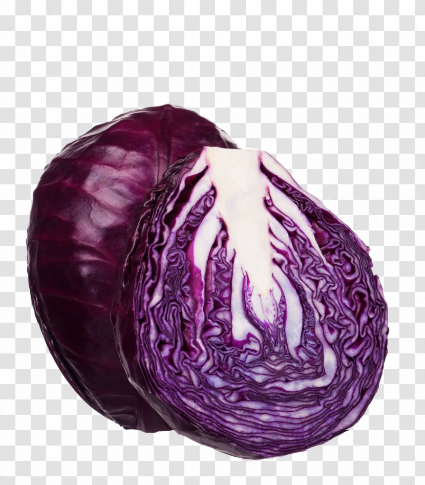 Red Cabbage Vegetable Purple - Stock Photography - Kale Transparent PNG