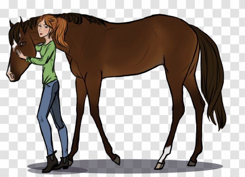 Foal Mane Mustang Mare Stallion - Rein Transparent PNG
