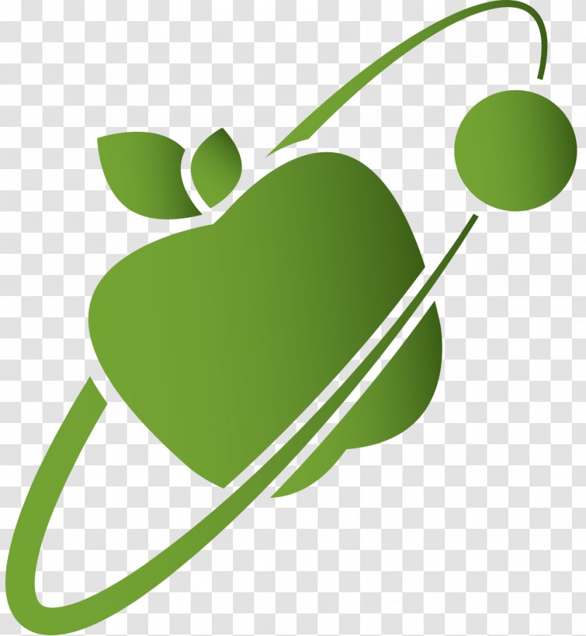 Logo Newton Graphic Design Brand - Leaf Transparent PNG