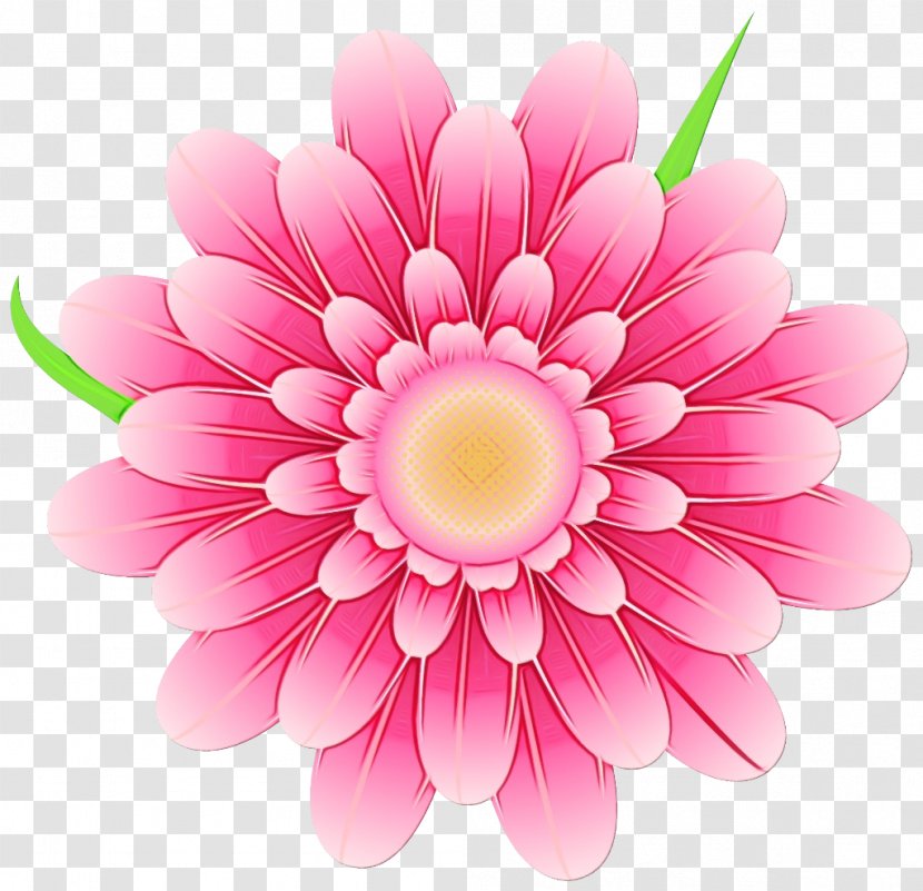 Flowers Background - Dahlia - Daisy Family Transparent PNG
