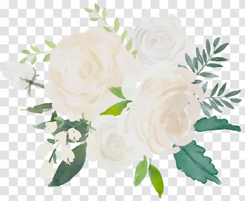 Watercolor Floral Background - Floristry Gardenia Transparent PNG