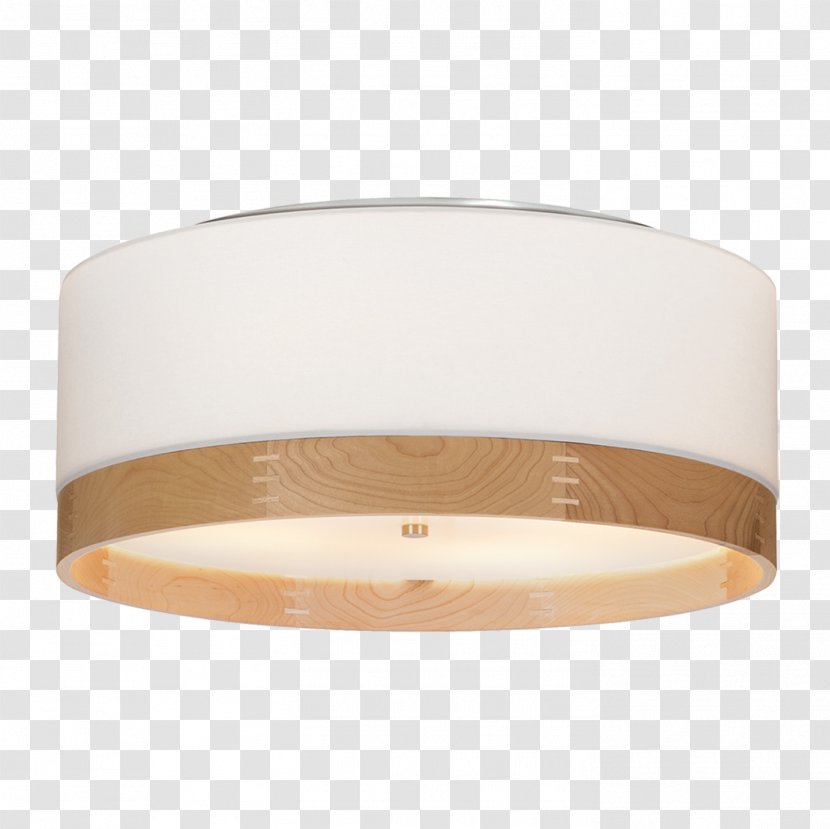 Lighting Wayfair Incandescent Light Bulb Fixture Transparent PNG