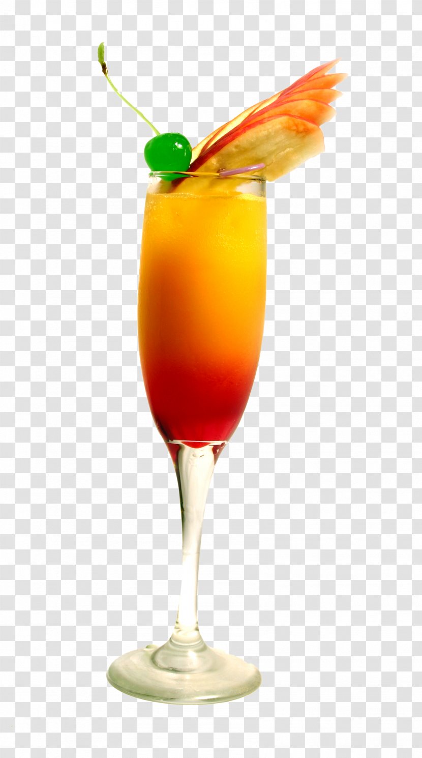 Cocktail Gin Vodka Martini Liqueur - Watercolor - Fruit Transparent PNG
