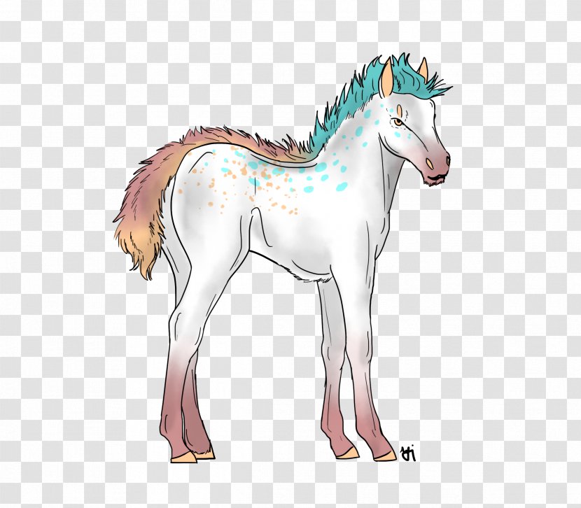 Foal Mustang Donkey Colt Halter - Mane Transparent PNG