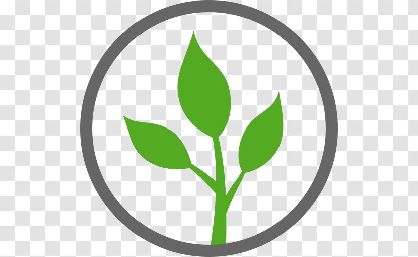 Vegetarian Cuisine Natural Environment Vegetable - Plant Stem Transparent PNG