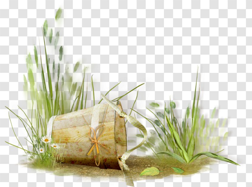 Grass Clip Art - Plant - Herbes Transparent PNG