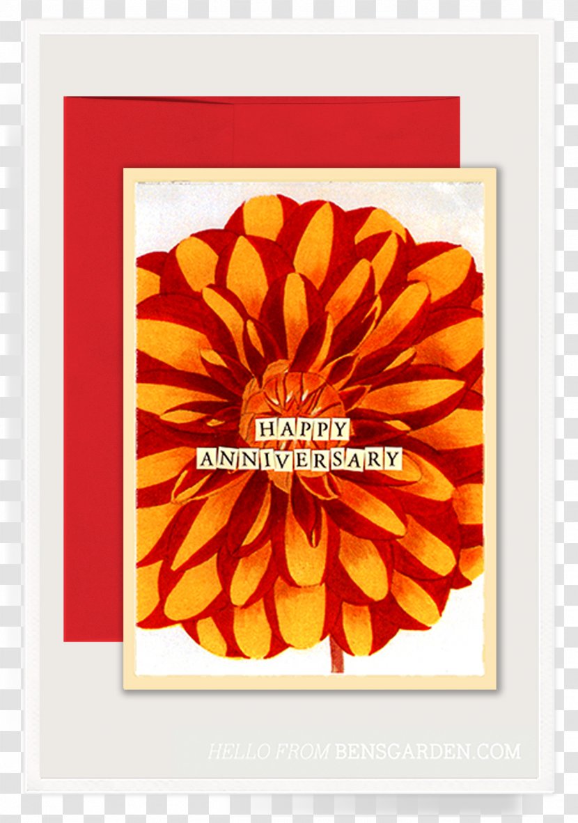 Book Review Amazon.com Hardcover Textile - Chrysanthemum Transparent PNG