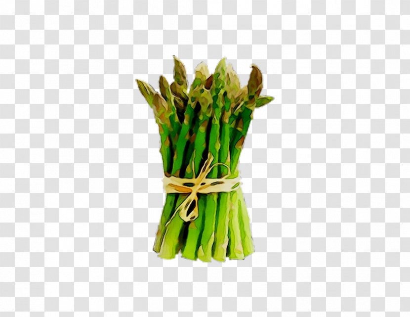 Commodity Green Bean Scallion Asparagus - Flower Transparent PNG