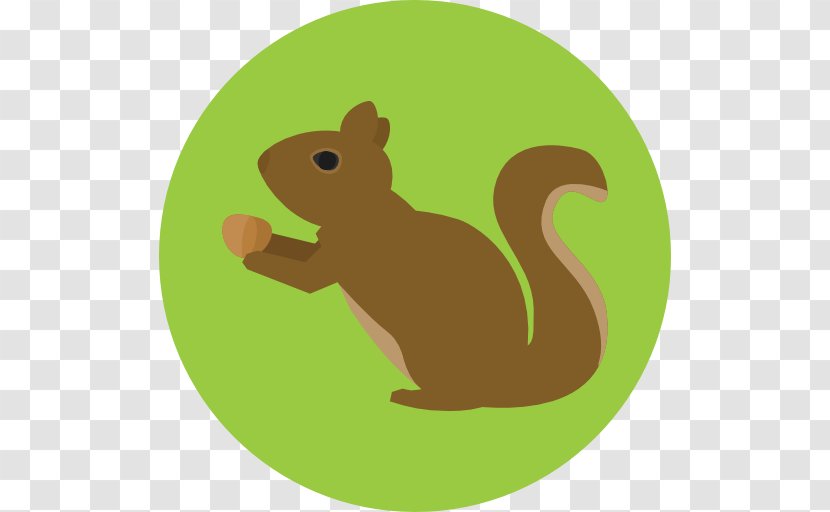 Squirrel Rodent - Fauna Transparent PNG