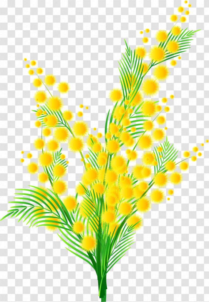 Sensitive Plant Cloth Napkins Flower Clip Art - Stem - Mimosa Splash Transparent PNG