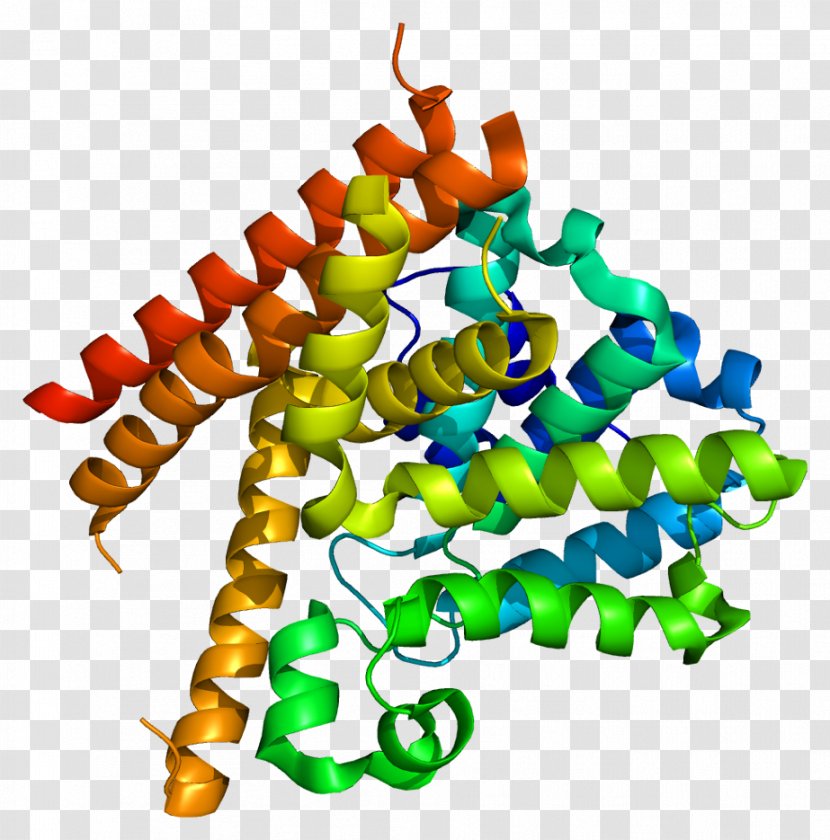 Phosphodiesterase Inhibitor Fosfodiesterasa 1 Cyclic Adenosine Monophosphate Enzyme - Nucleotide - Looks Transparent PNG