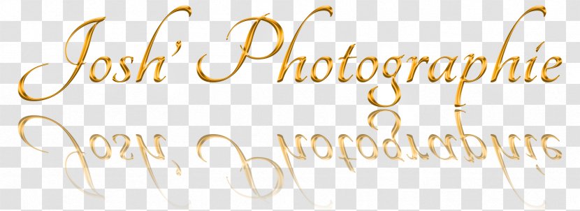 Logo Font Brand - Calligraphy - Check Signature Transparent PNG