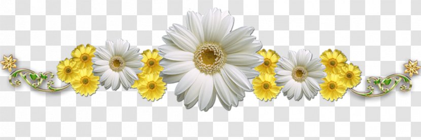 Love Internet Forum Novosibirsk Text - Chrysanths - Ромашки Transparent PNG