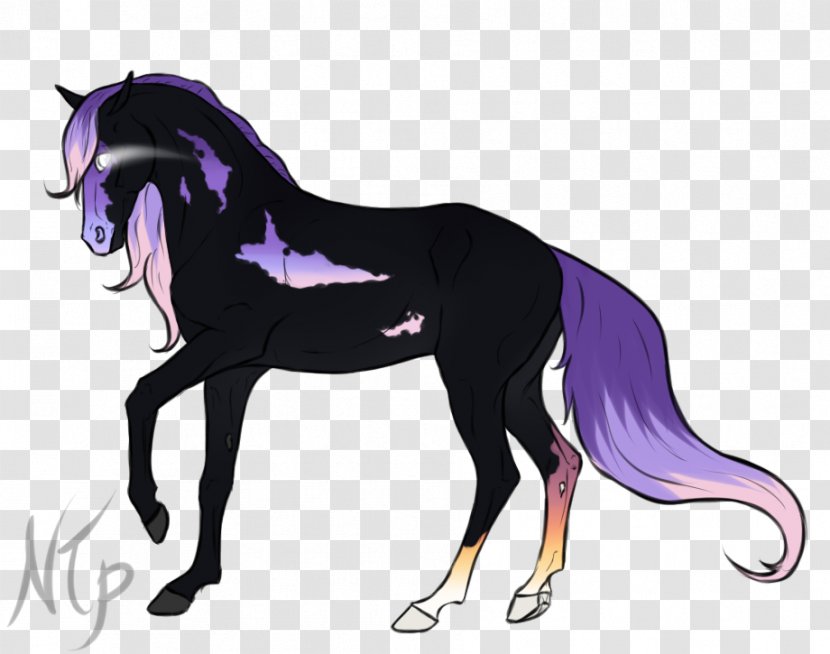Mustang Stallion Mane Foal Pony - Horse Supplies Transparent PNG