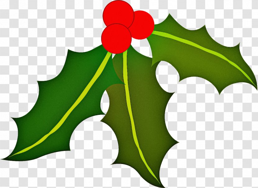 Holly - Leaf - Plane Flower Transparent PNG